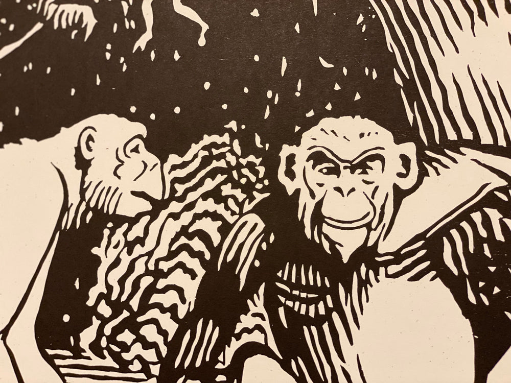 Chimpanzee Print