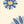 Daisy Card