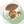 Mushrooms Reusable Dish Cloth Set of 2