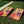 Hatch Sunburst Cornhole Set
