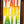 Y'ALL MEANS ALL POSTER