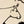 Barnyard Cow Print
