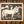 Barnyard Horse Print