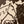 Barnyard Horse Print