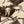 Barnyard Pigs Print
