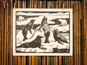 Sea Lion Print